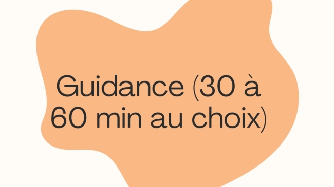 Guidance ( 30 à 60 min au choix )